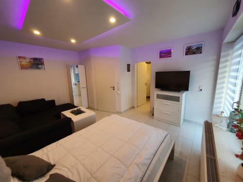 Miami Apartment
