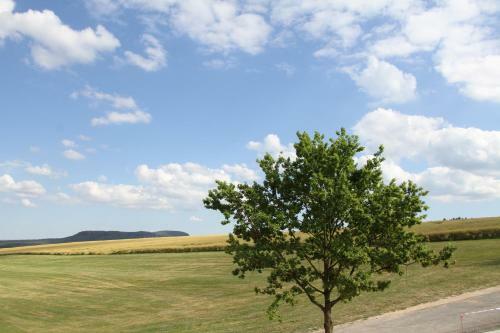 Apartamentos Alter Gutshof Papstdorf