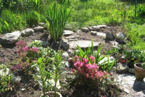 Driftwood Country Apartment