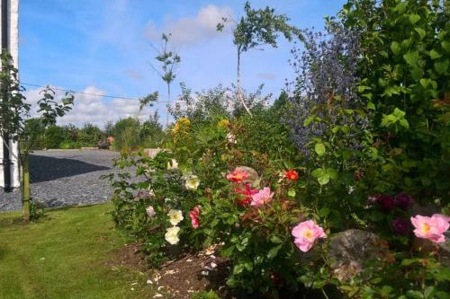 New: The Burren Art Gallery - (1798)