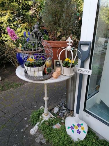 Hostal Pension Mien Fr�ndt