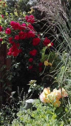 Hostal Pension Mien Fr�ndt
