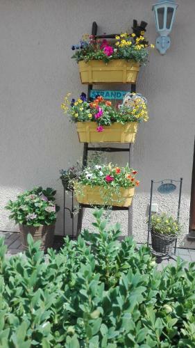 Hostal Pension Mien Fr�ndt