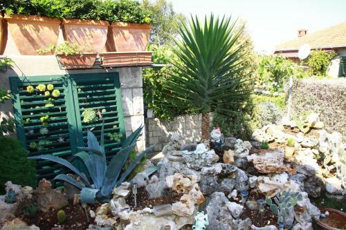 Vacation House On Island Brac - Ana