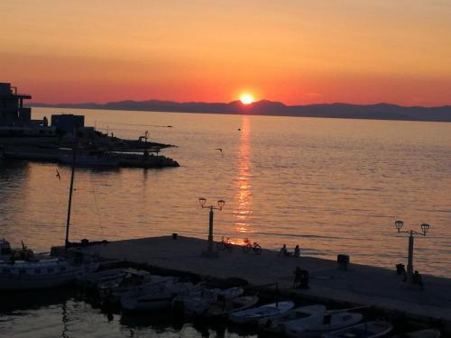 Apartment Apartman Ruza