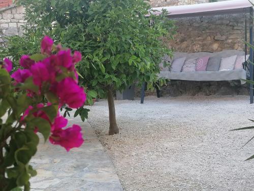 Apartment Apartman Ruza