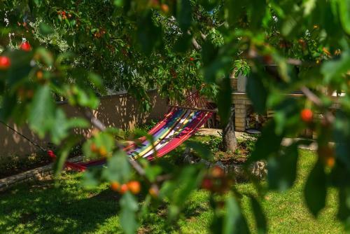 Apartamentos Vila Milla