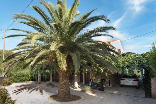 Villa Premantura Olive Garden