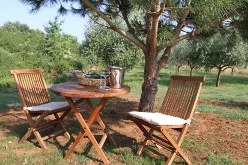 Villa Premantura Olive Garden