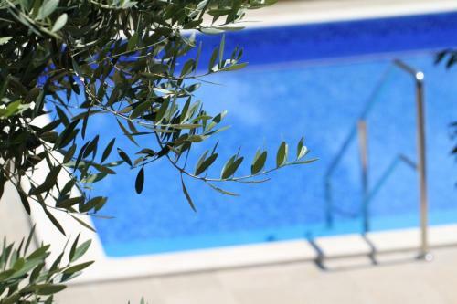 Villa Premantura Olive Garden