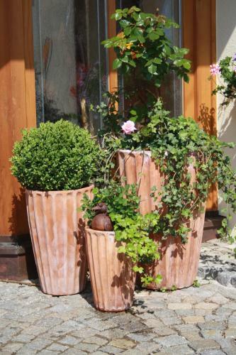 Hotel Berggasthof Sch�n