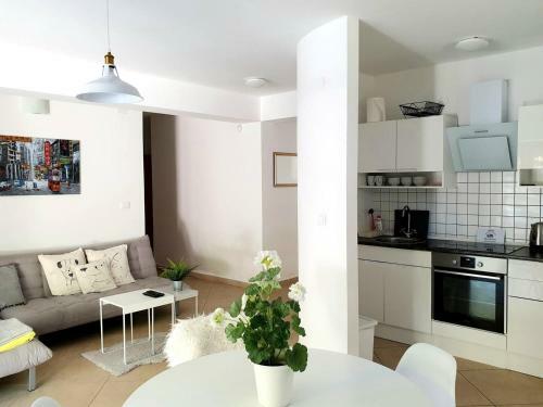 Garden Bbq Spacious Apartment By Rt Kamenjak