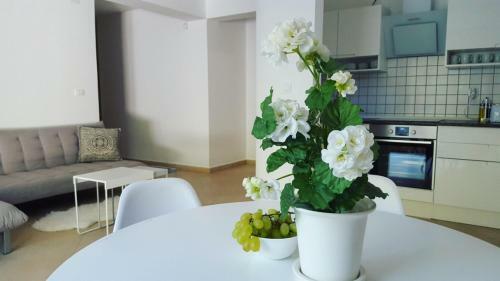 Garden Bbq Spacious Apartment By Rt Kamenjak