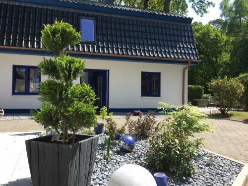 Apartamento Strandhaus Seeperle