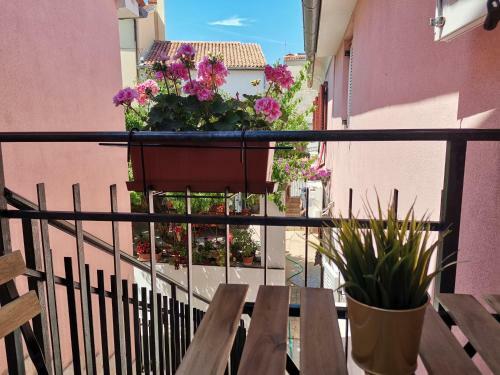 Apartman Petra
