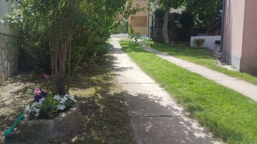 Apartman Petra