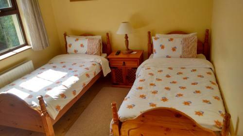 Bed & Breakfast Grannagh Castle House