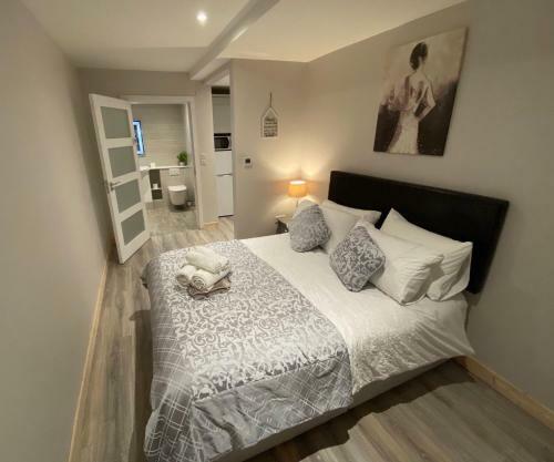 Trinity Apartments - 2b Studio Apt Waterford City