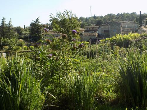 C�t� Cour, C�t� Jardin