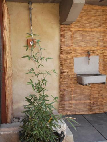 C�t� Cour, C�t� Jardin