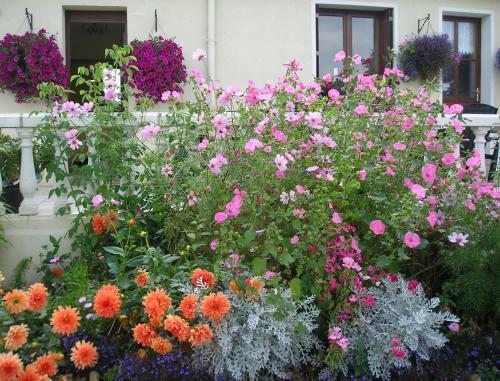 Bed & Breakfast La Buzardiere