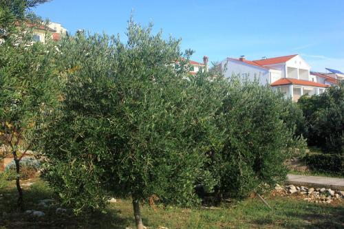 Apartment Novalja 9326b
