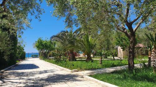 Apartments Ostrea - Ana