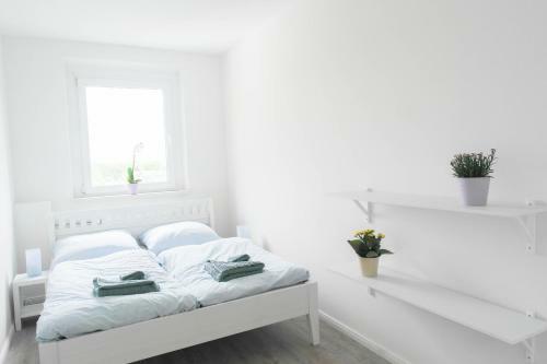 Sunny Apartment