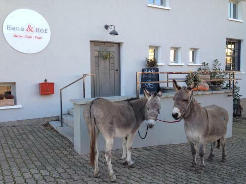 Hostal Haus & Hof Guest House