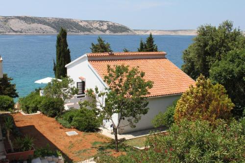 Apartments By The Sea Stara Novalja, Pag - 6365