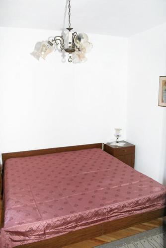 Apartment Stara Novalja 4143b
