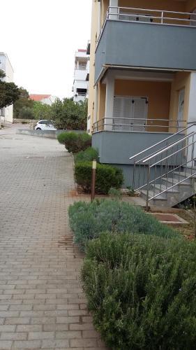 Apartments Puky Dreams