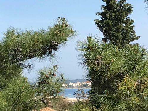 Apartamentos Holiday Home Nova