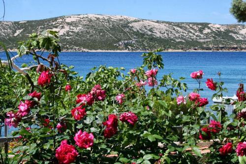 Apartments By The Sea Stara Novalja, Pag - 4106