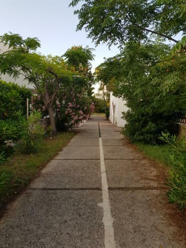 Apartment Gajac Zr?e Novalja