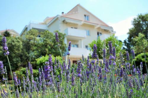 Lenka Apartments II
