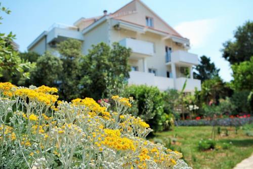 Lenka Apartments II