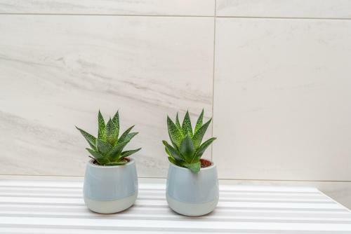 Apartamento Star 6 Modern & Centrally Ap For 6