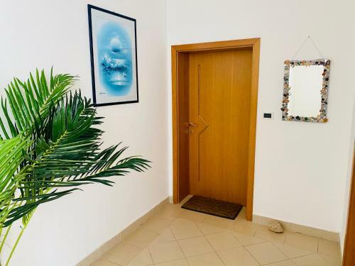 Apartamento Novalja Lokvice