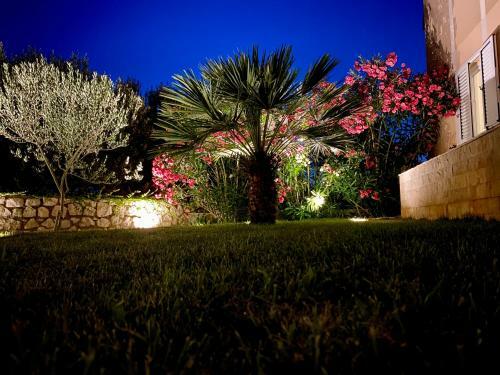 Apartment Green Garden
