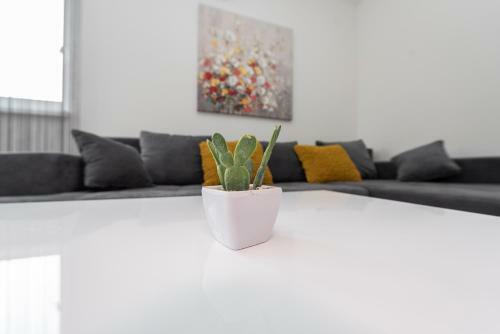 Apartamento Villa Star 4 A Centrally Located Ap. With A Pool