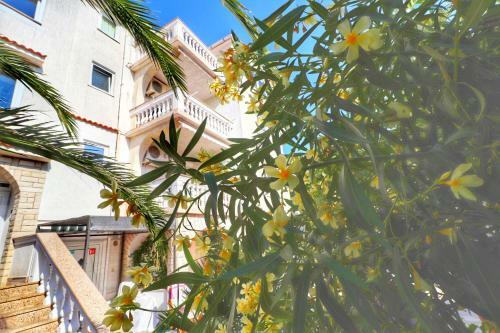 Apartment Dony