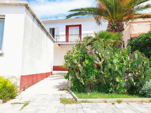 Apartamento Betanovalja