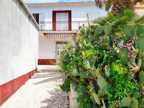 Apartamento Betanovalja