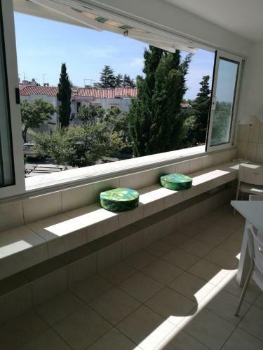 Apartment Nick Gajac, Novalja, Zr?e