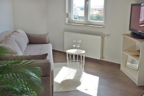Retro & Fancy Apartments Lld