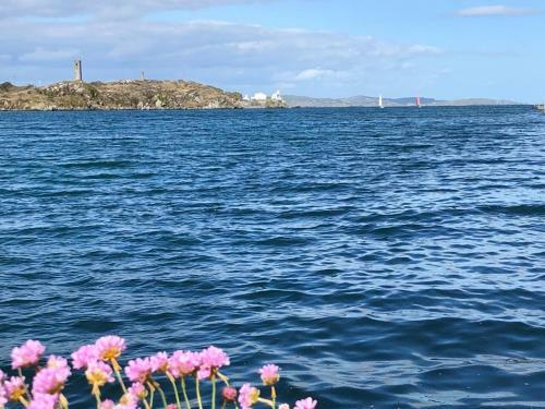 Gunpoint Lodge, Schull, County Cork