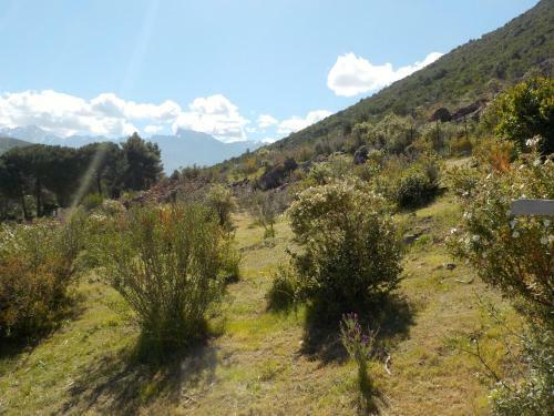 Apartamento Appartements Candella