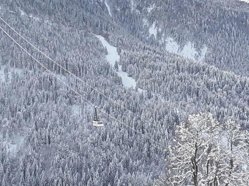 Apartamento L'aigle Royal