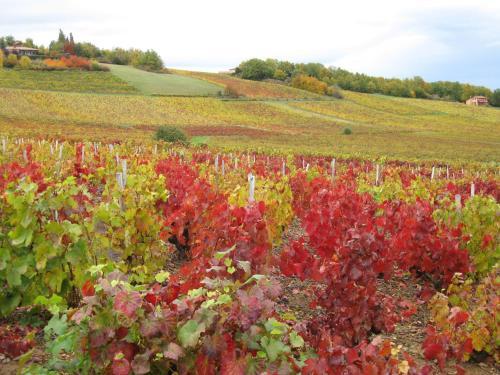 Bed & Breakfast Domaine Des Aloets